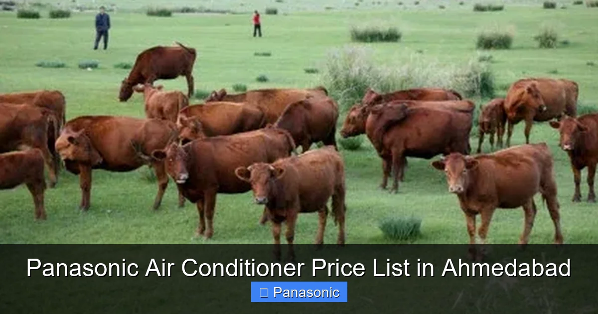 Panasonic Air Conditioner Price List in Ahmedabad