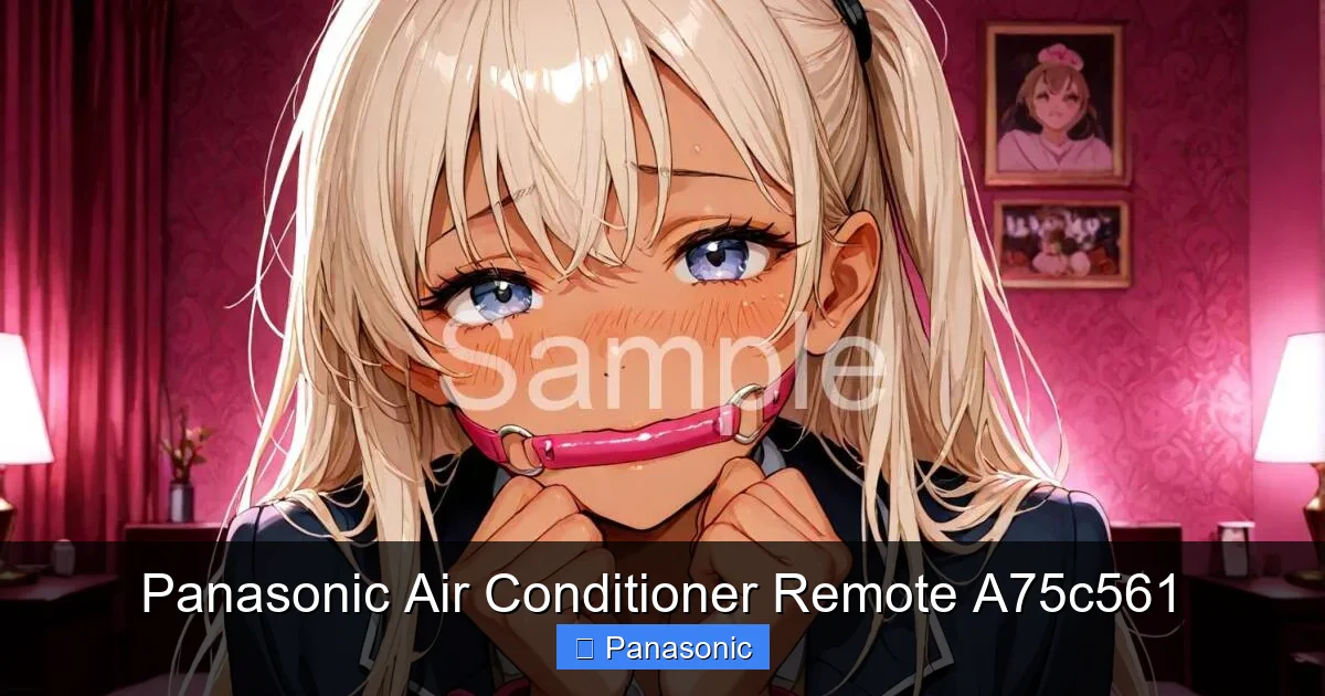 Panasonic Air Conditioner Remote A75c561