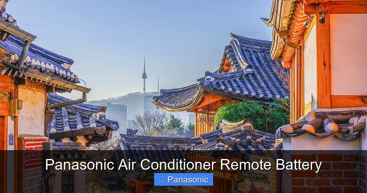 Panasonic Air Conditioner Remote Battery