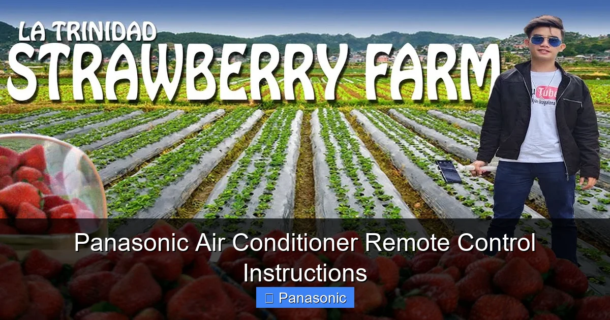 Panasonic Air Conditioner Remote Control Instructions