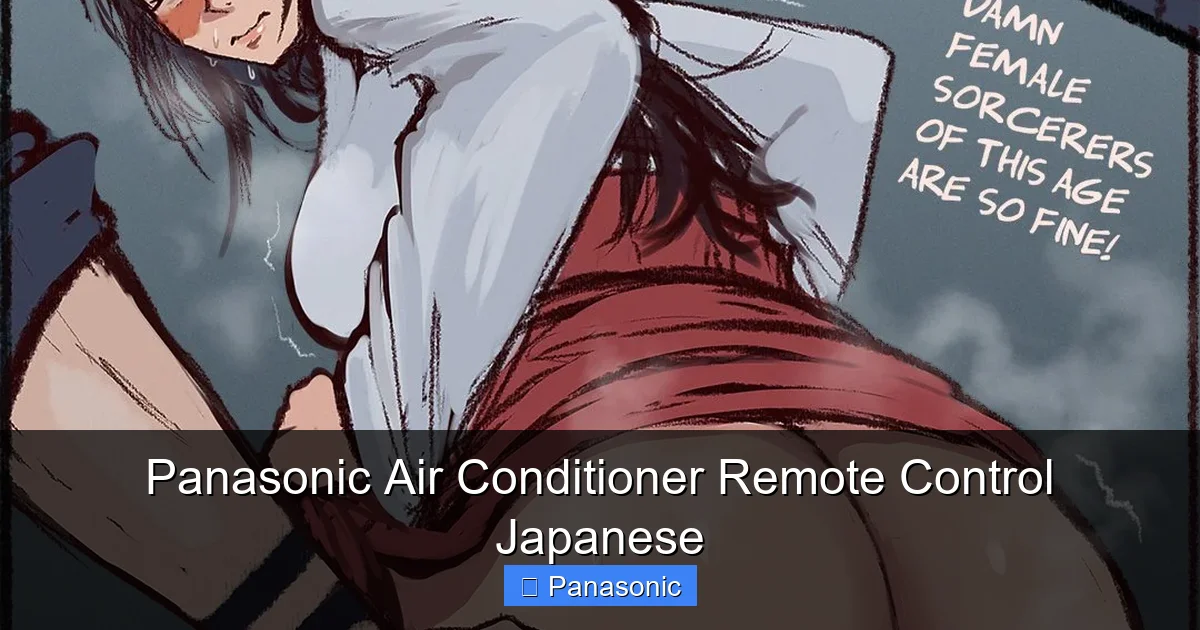 Panasonic Air Conditioner Remote Control Japanese