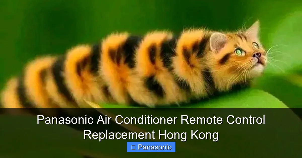 Panasonic Air Conditioner Remote Control Replacement Hong Kong