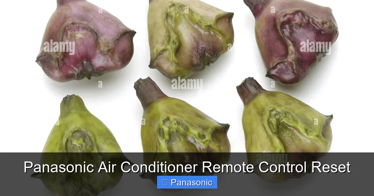 Panasonic Air Conditioner Remote Control Reset