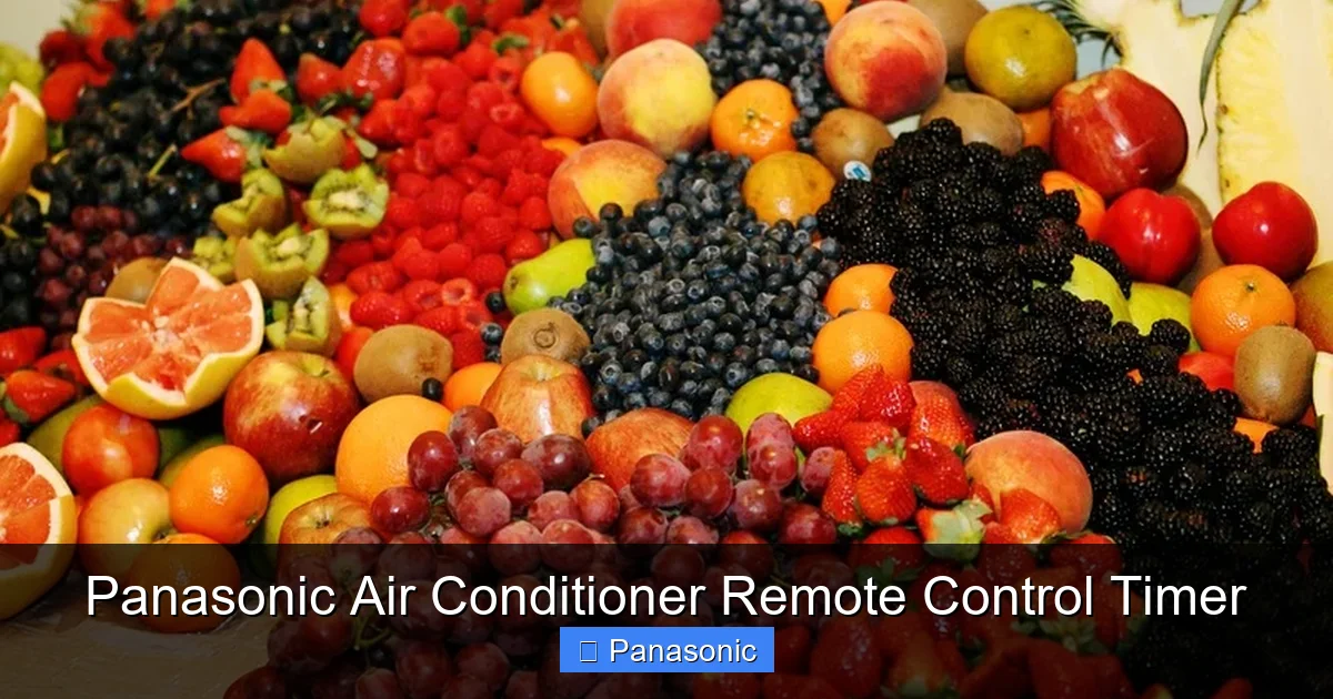 Panasonic Air Conditioner Remote Control Timer