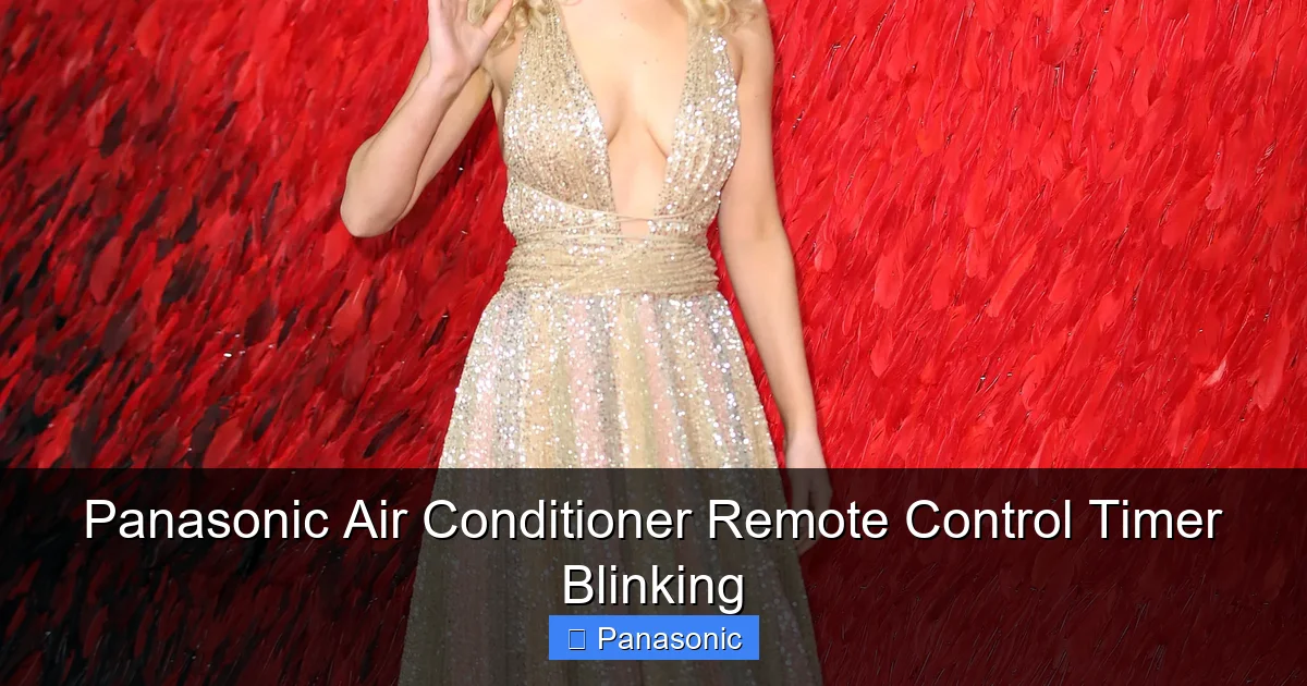 Panasonic Air Conditioner Remote Control Timer Blinking