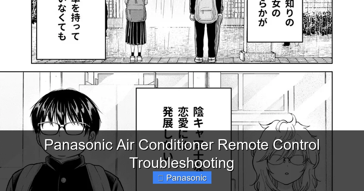Panasonic Air Conditioner Remote Control Troubleshooting