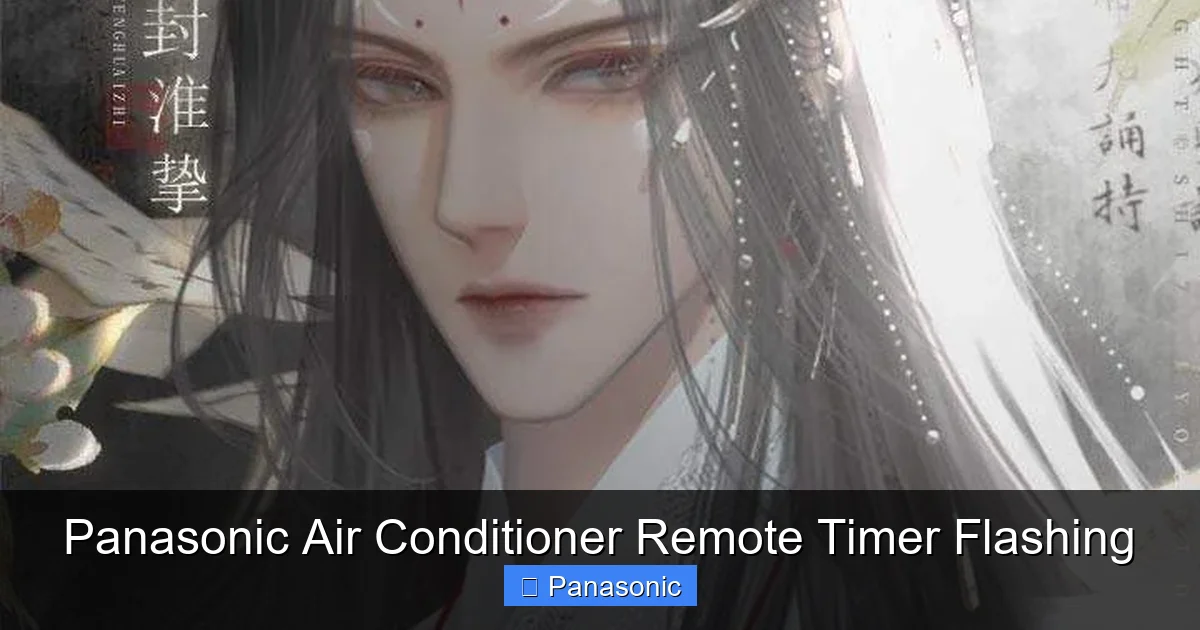 Panasonic Air Conditioner Remote Timer Flashing