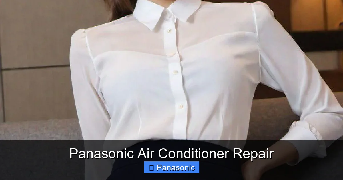 Panasonic Air Conditioner Repair