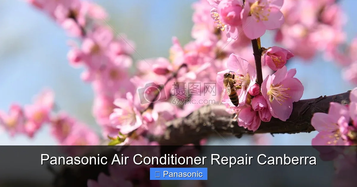 Panasonic Air Conditioner Repair Canberra