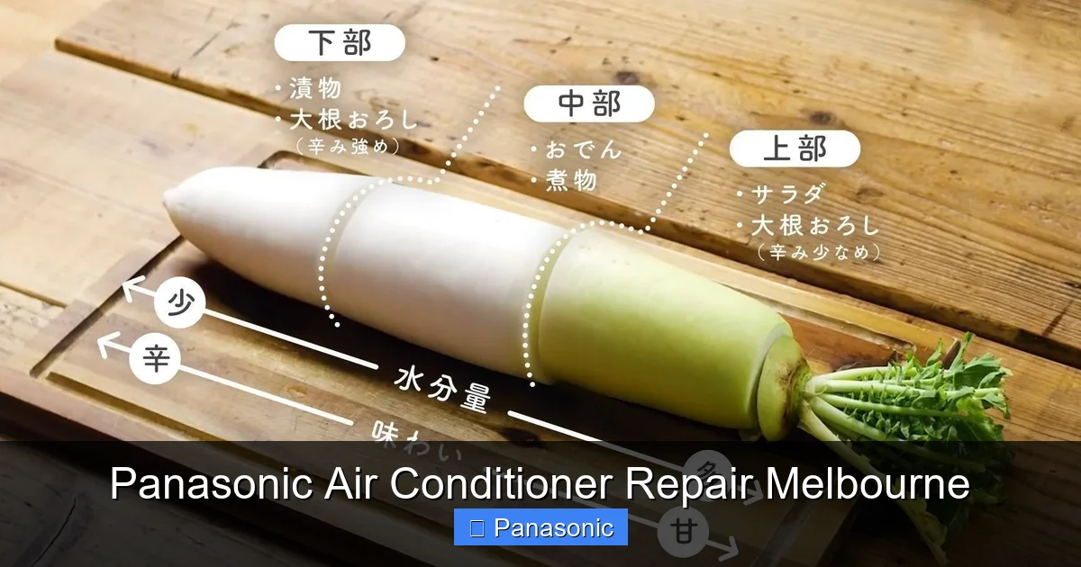 Panasonic Air Conditioner Repair Melbourne