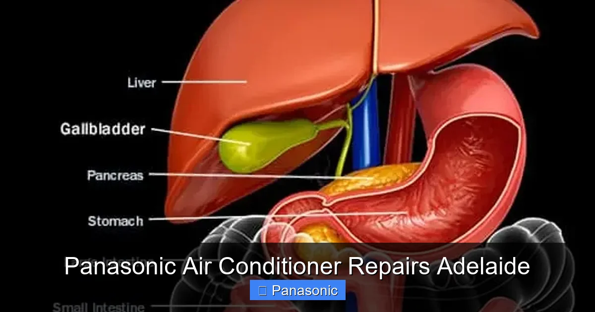 Panasonic Air Conditioner Repairs Adelaide