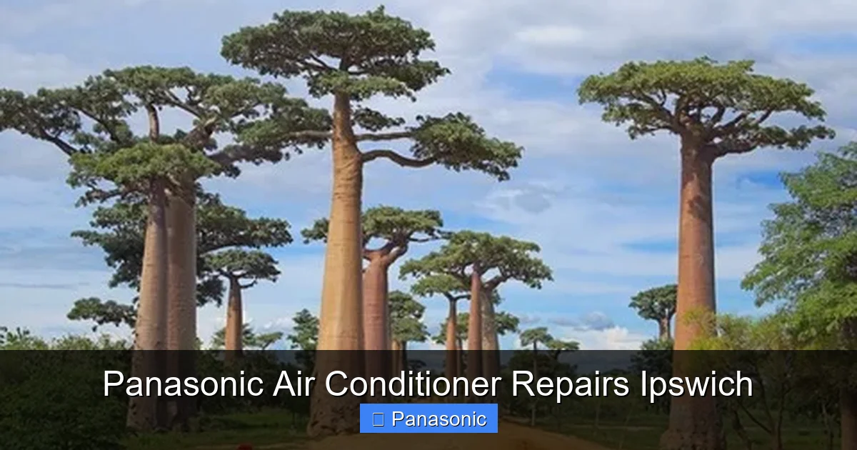 Panasonic Air Conditioner Repairs Ipswich