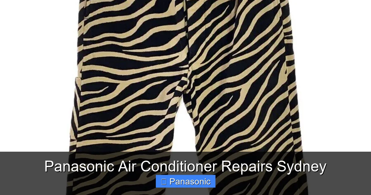 Panasonic Air Conditioner Repairs Sydney