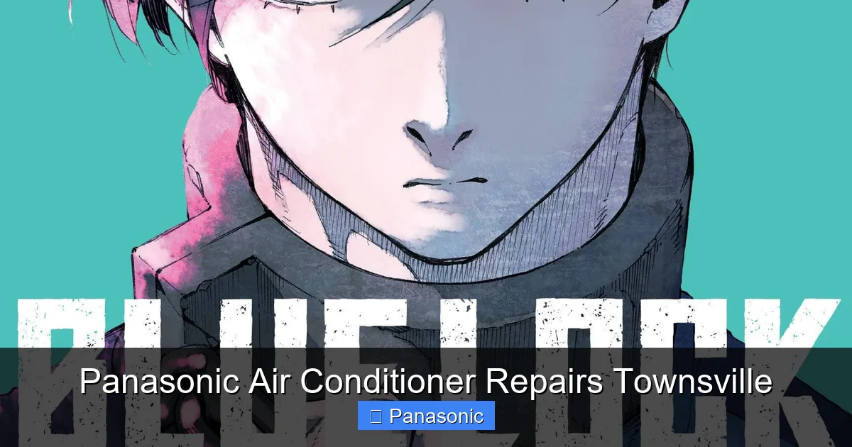 Panasonic Air Conditioner Repairs Townsville