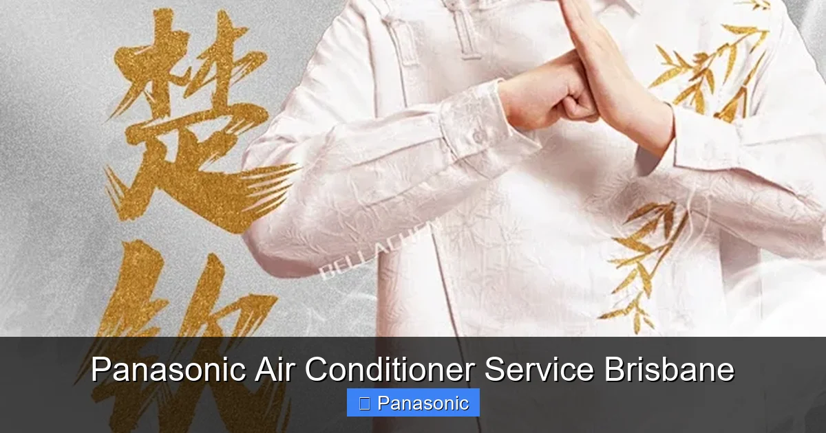 Panasonic Air Conditioner Service Brisbane