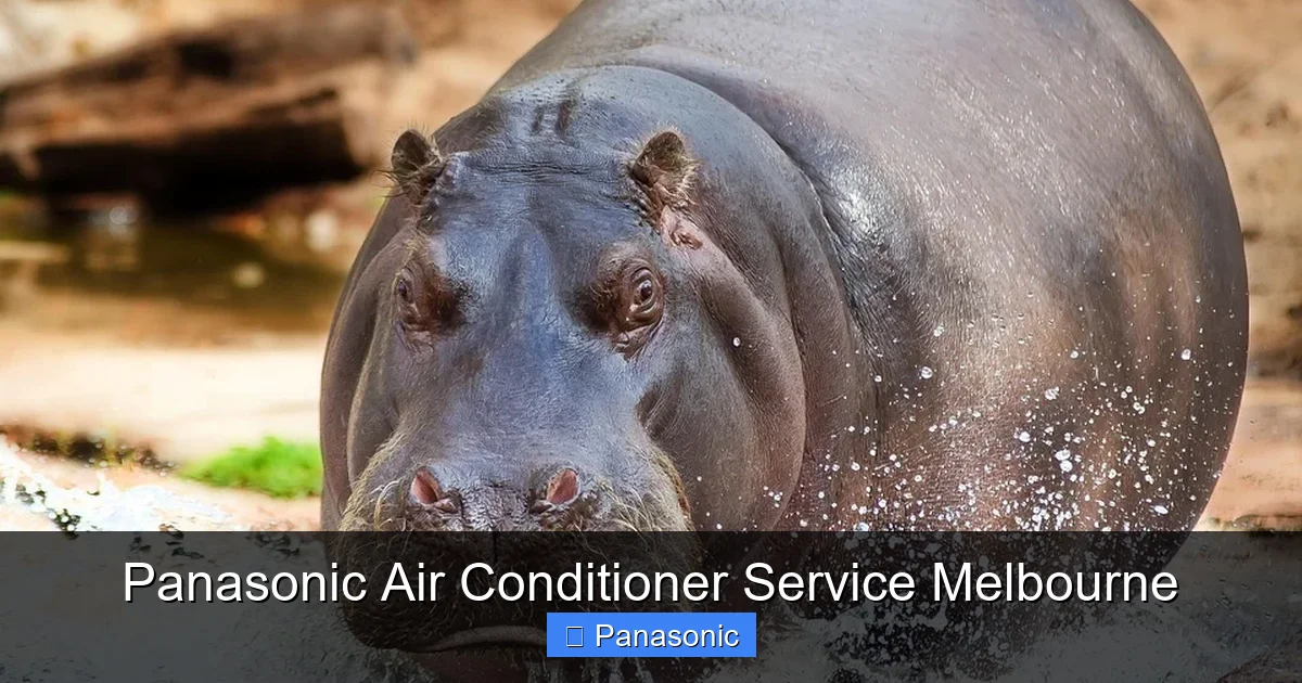 Panasonic Air Conditioner Service Melbourne