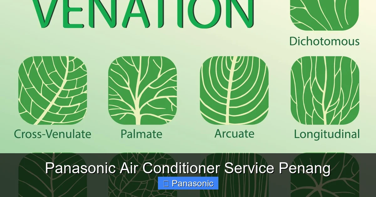 Panasonic Air Conditioner Service Penang