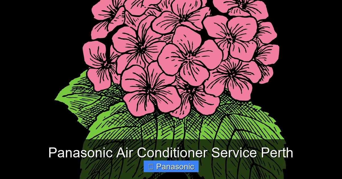 Panasonic Air Conditioner Service Perth