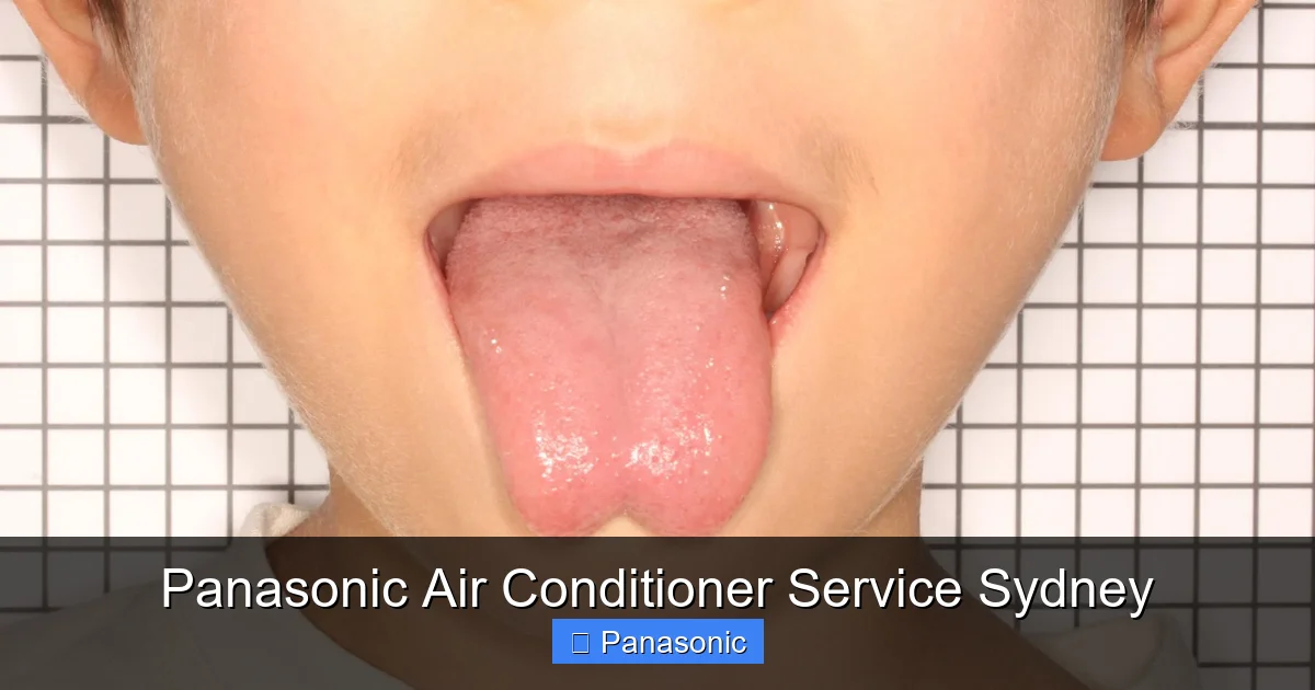Panasonic Air Conditioner Service Sydney