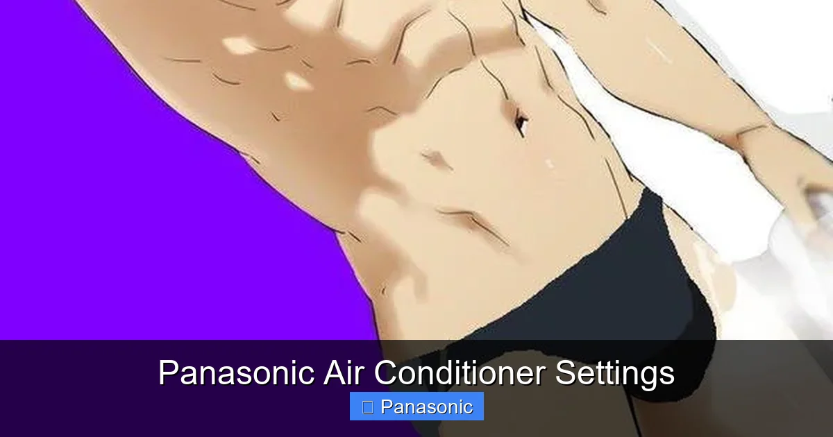Panasonic Air Conditioner Settings