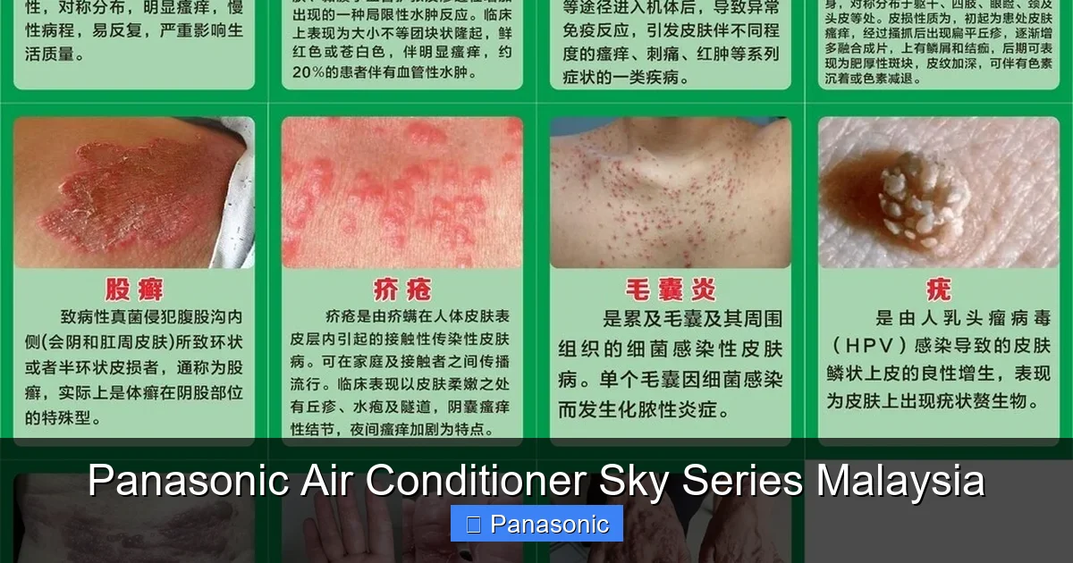 Panasonic Air Conditioner Sky Series Malaysia