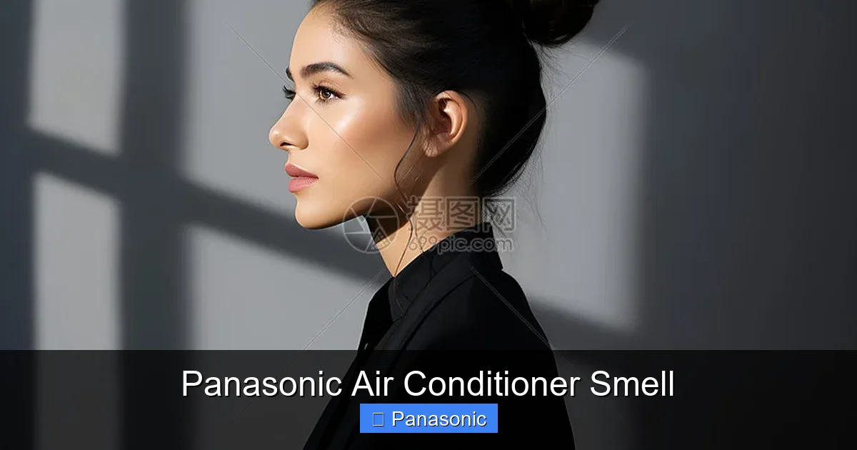 Panasonic Air Conditioner Smell