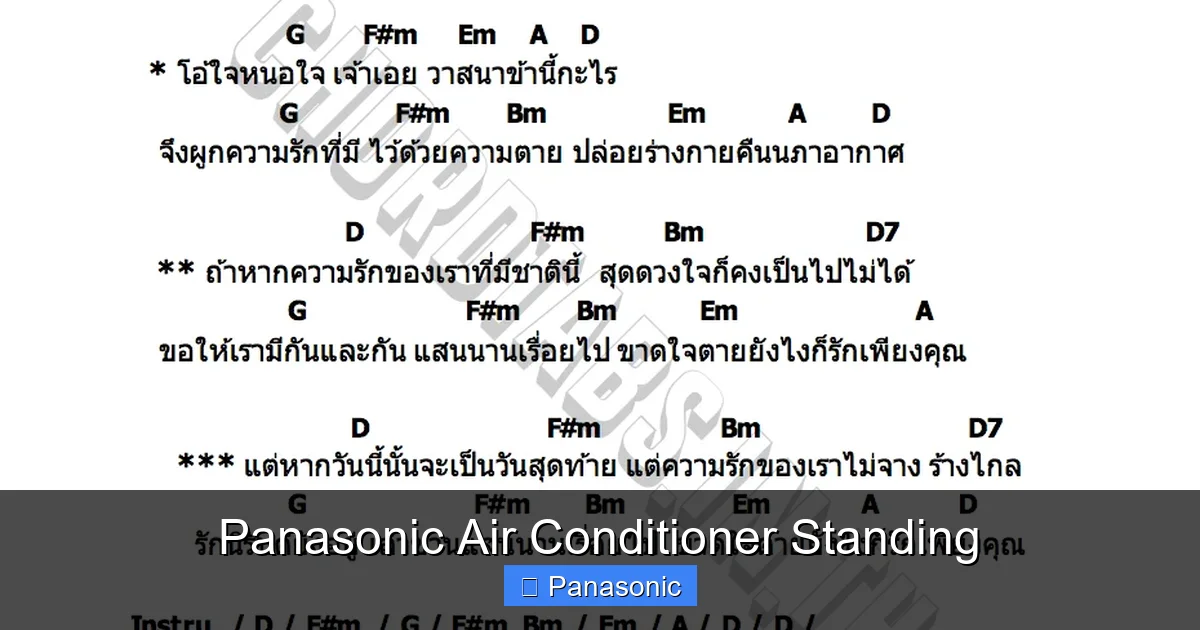 Panasonic Air Conditioner Standing