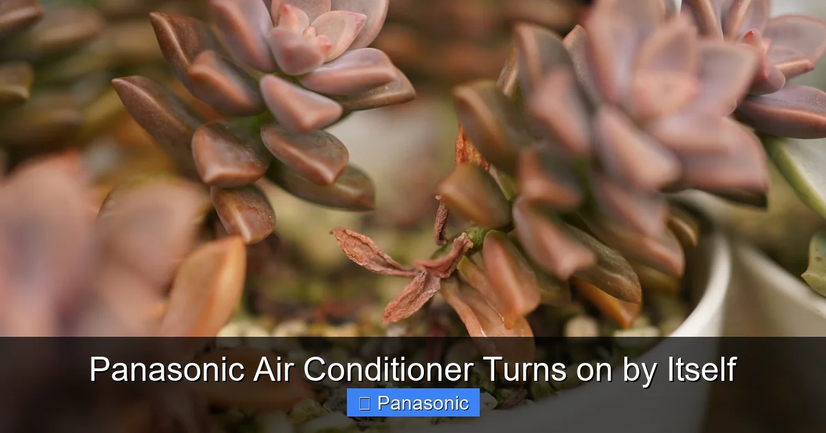Panasonic Air Conditioner Turns on by Itself
