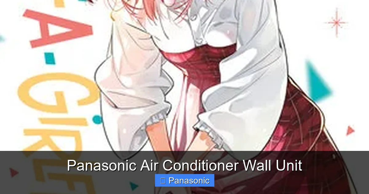 Panasonic Air Conditioner Wall Unit