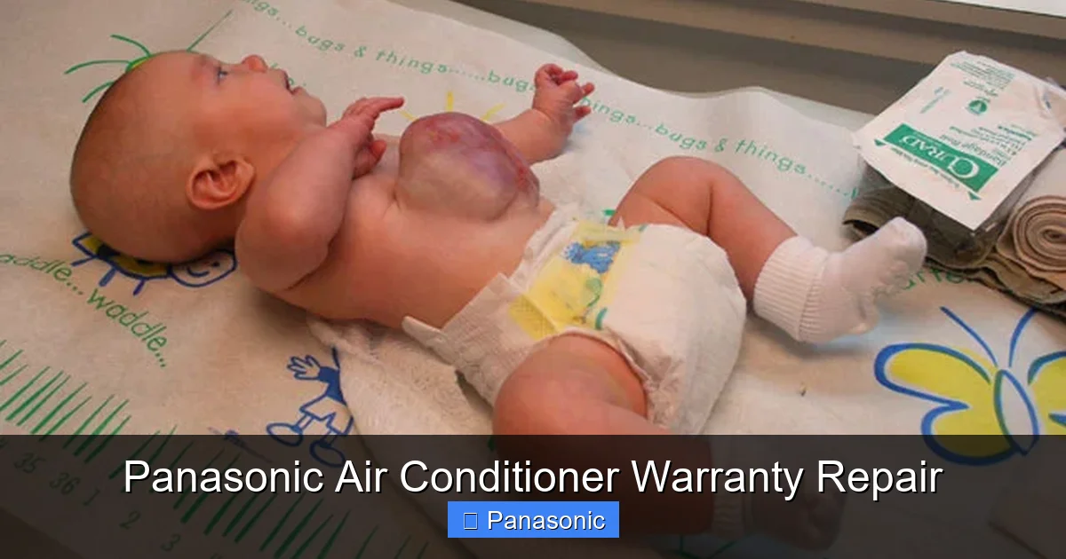 Panasonic Air Conditioner Warranty Repair