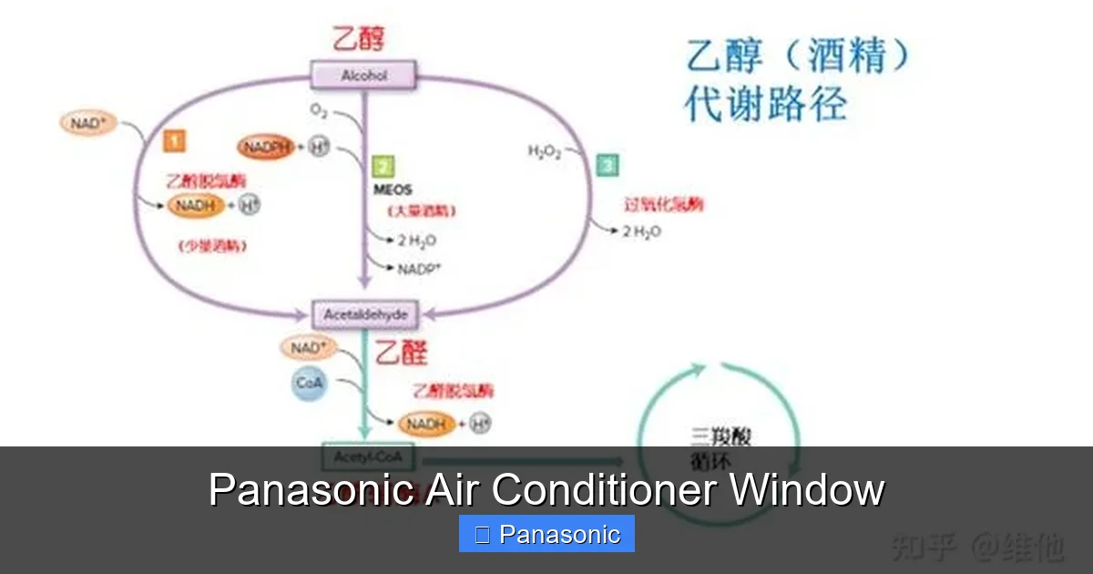 Panasonic Air Conditioner Window