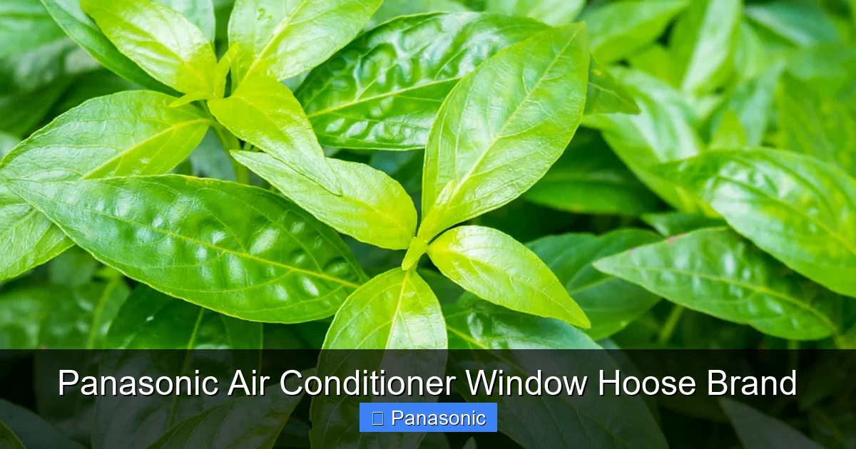 Panasonic Air Conditioner Window Hoose Brand