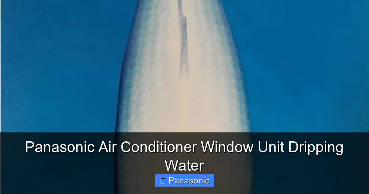 Panasonic Air Conditioner Window Unit Dripping Water