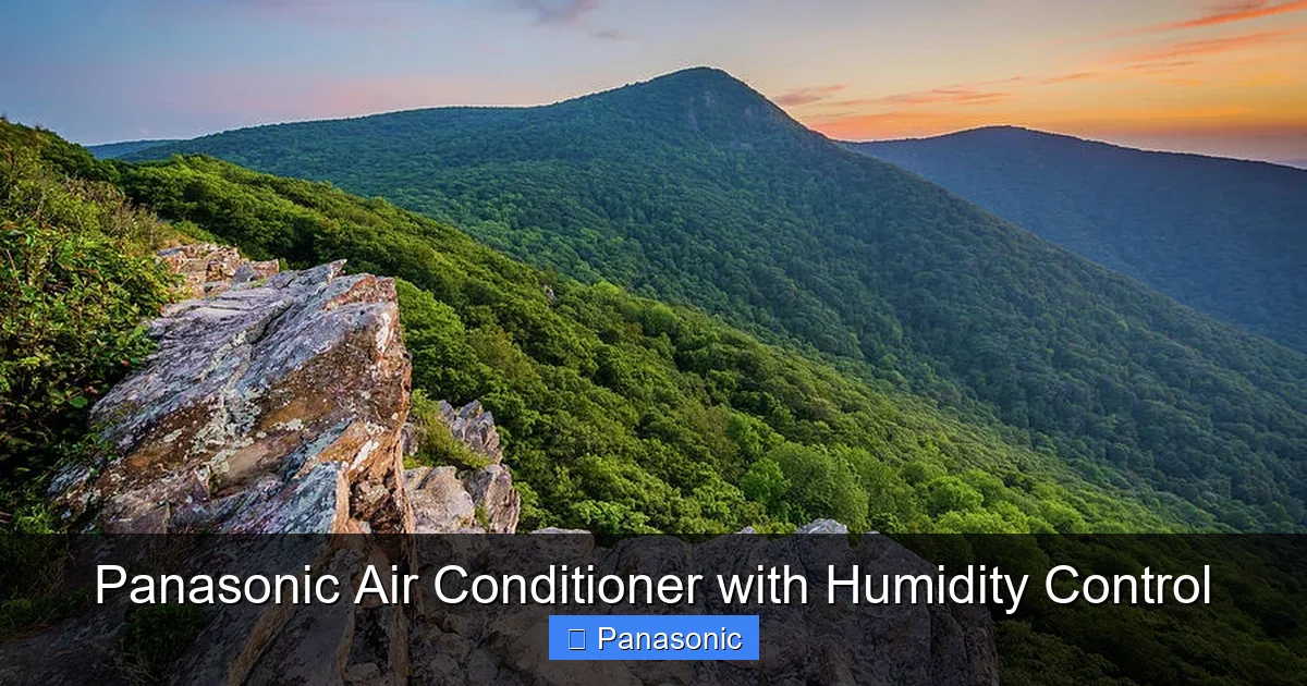 Panasonic Air Conditioner with Humidity Control