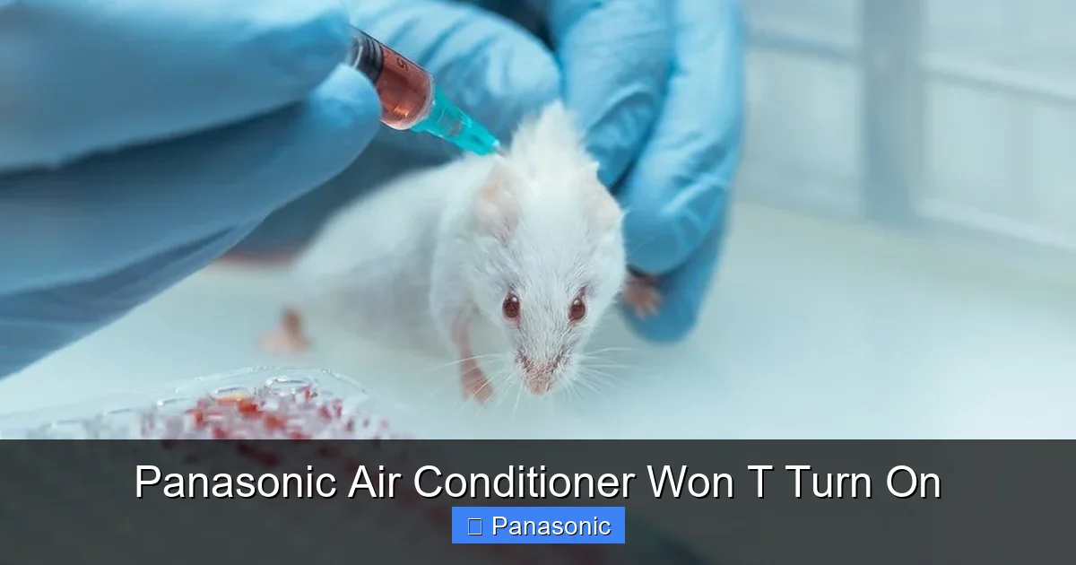 Panasonic Air Conditioner Won T Turn On