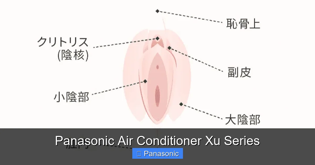 Panasonic Air Conditioner Xu Series