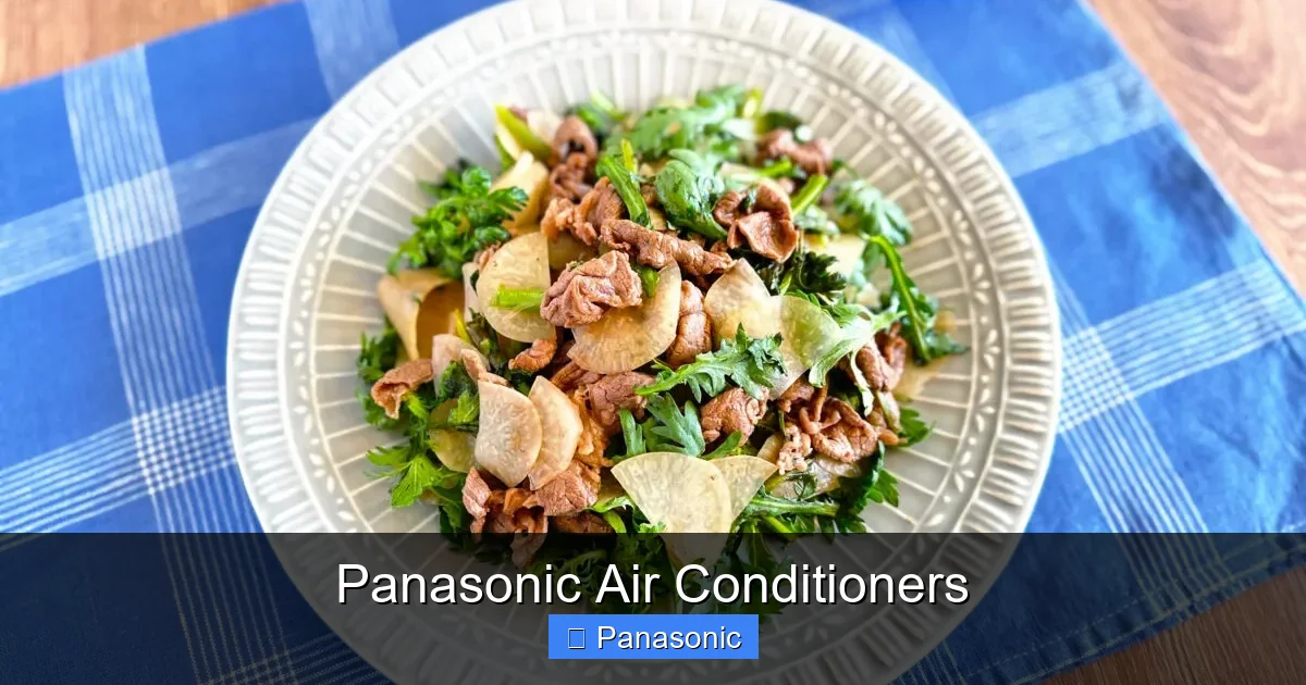 Panasonic Air Conditioners