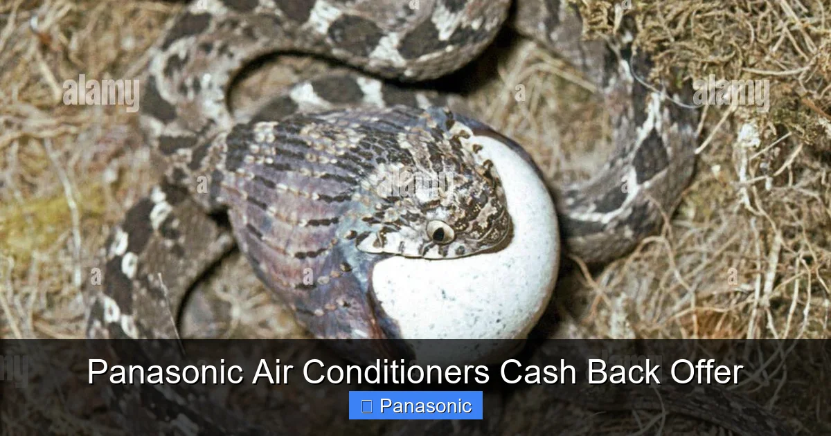 Panasonic Air Conditioners Cash Back Offer