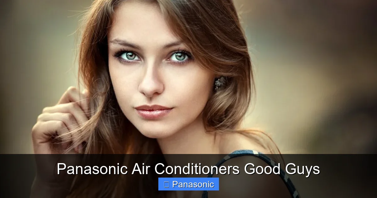 Panasonic Air Conditioners Good Guys