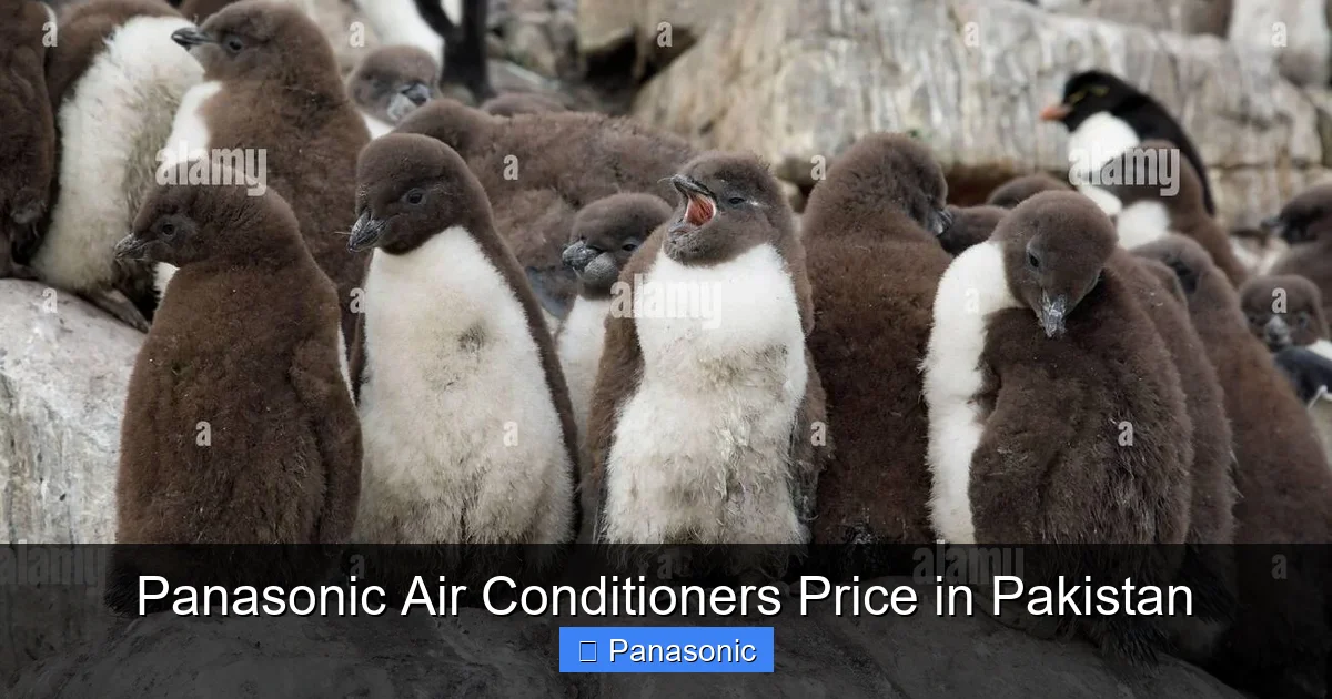 Panasonic Air Conditioners Price in Pakistan