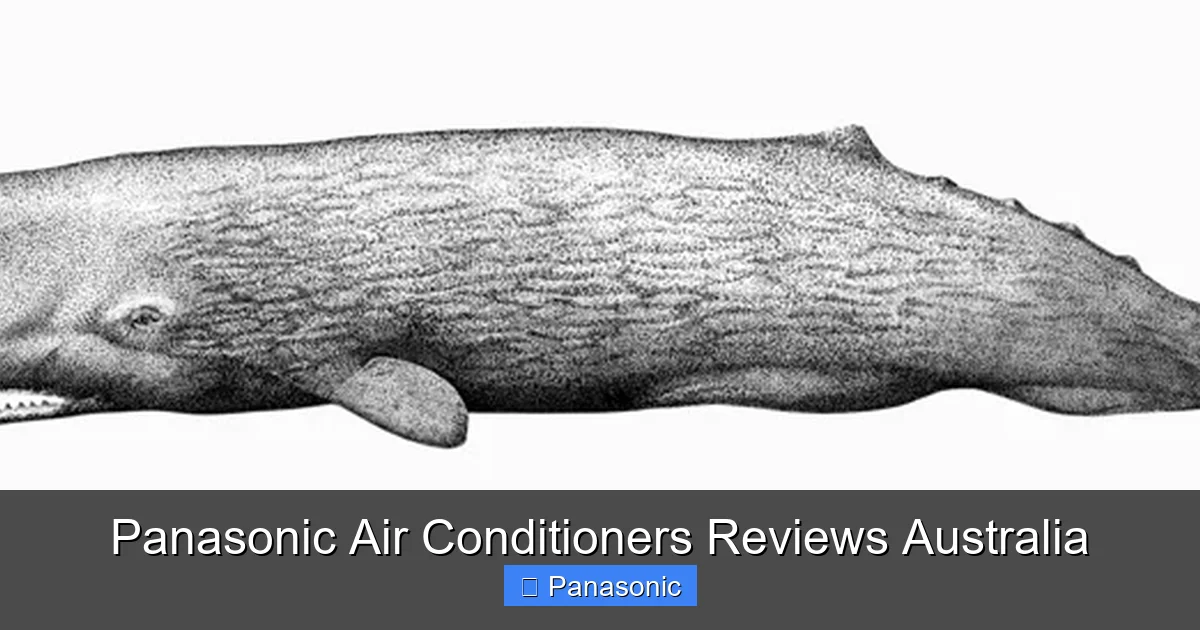 Panasonic Air Conditioners Reviews Australia