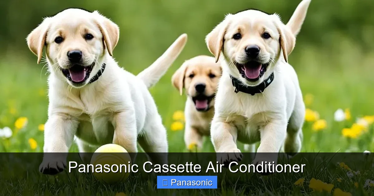 Panasonic Cassette Air Conditioner