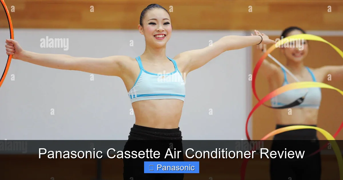 Panasonic Cassette Air Conditioner Review
