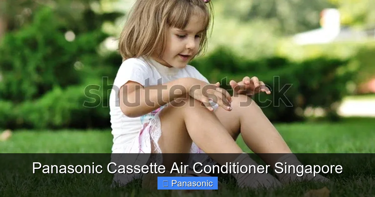 Panasonic Cassette Air Conditioner Singapore