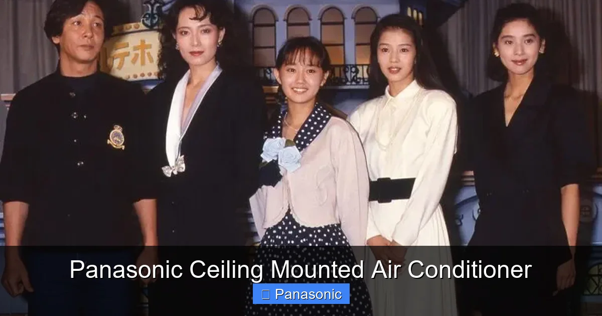 Panasonic Ceiling Mounted Air Conditioner