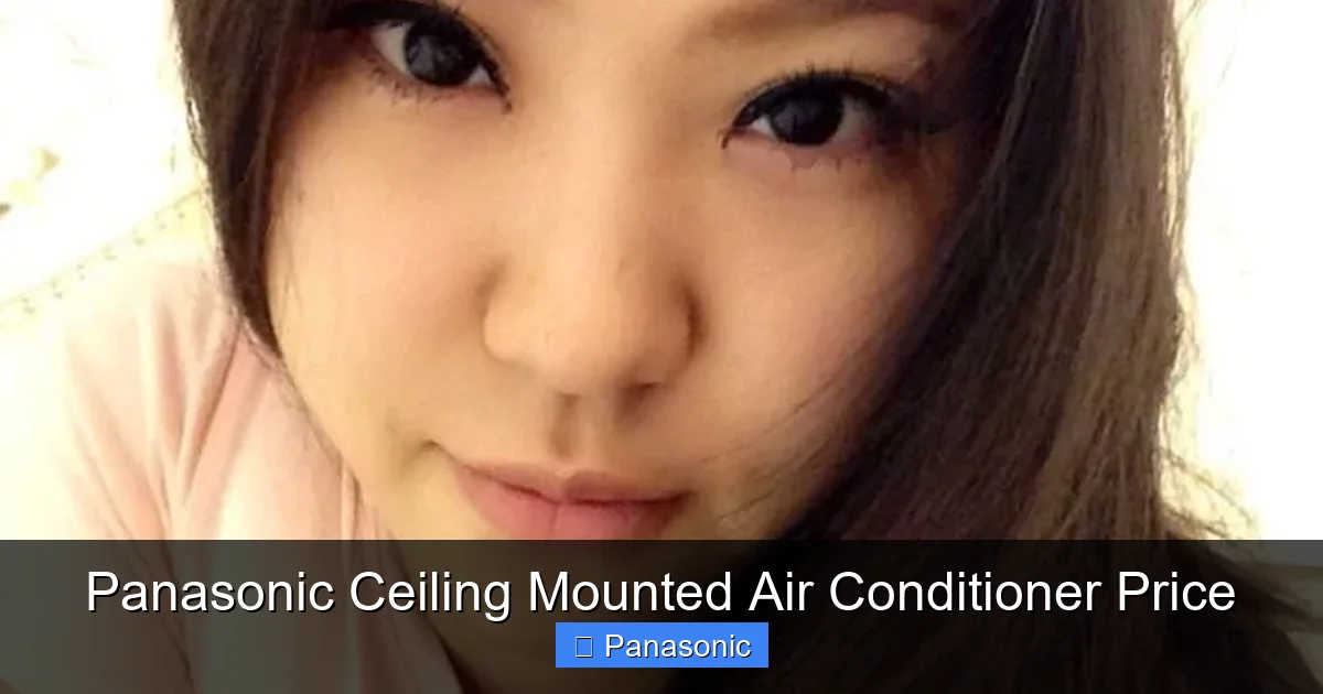 Panasonic Ceiling Mounted Air Conditioner Price