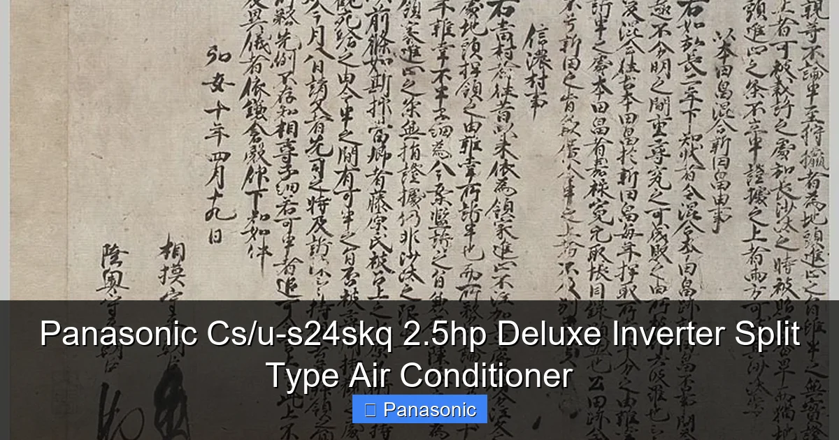 Panasonic Cs/u-s24skq 2.5hp Deluxe Inverter Split Type Air Conditioner