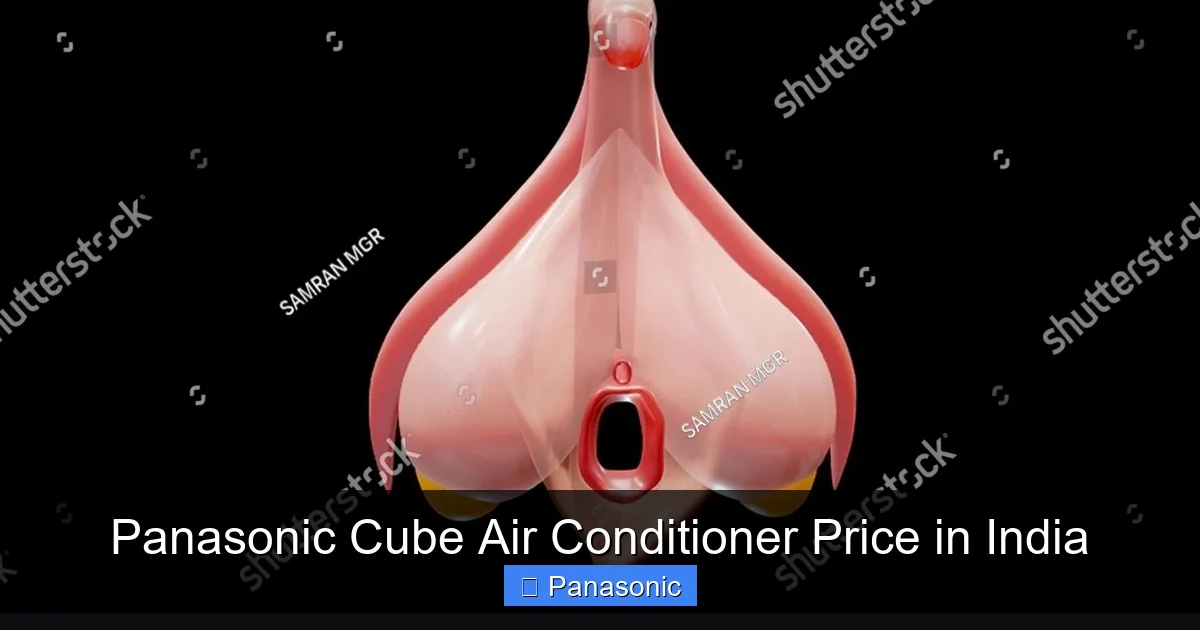Panasonic Cube Air Conditioner Price in India
