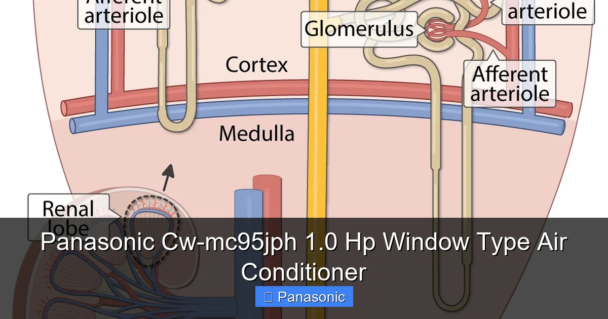 Panasonic Cw-mc95jph 1.0 Hp Window Type Air Conditioner