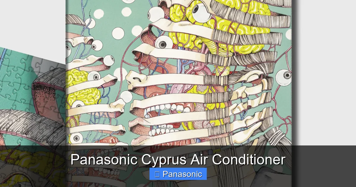 Panasonic Cyprus Air Conditioner